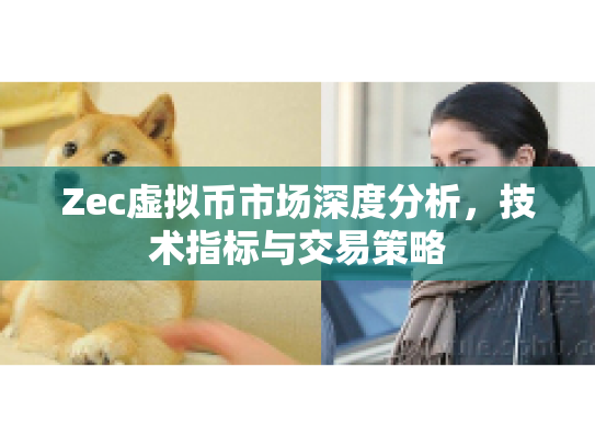 Zec虚拟币市场深度分析，技术指标与交易策略