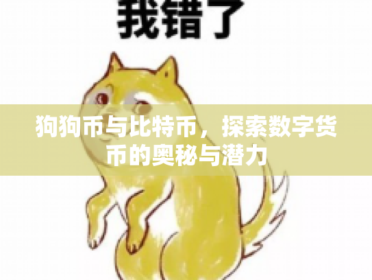 狗狗币与比特币，探索数字货币的奥秘与潜力