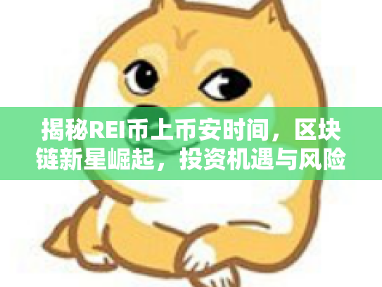 揭秘REI币上币安时间，区块链新星崛起，投资机遇与风险共舞