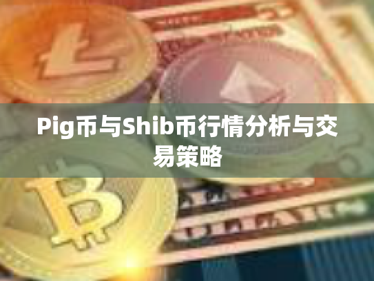 Pig币与Shib币行情分析与交易策略