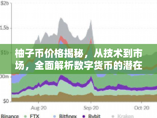 柚子币价格揭秘，从技术到市场，全面解析数字货币的潜在机遇与风险