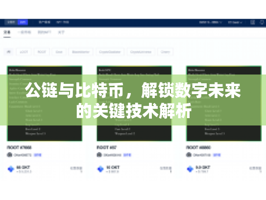 公链与比特币，解锁数字未来的关键技术解析