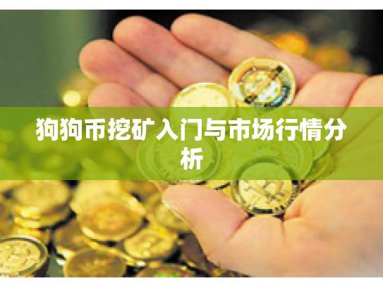 狗狗币挖矿入门与市场行情分析