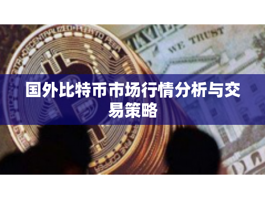 国外比特币市场行情分析与交易策略