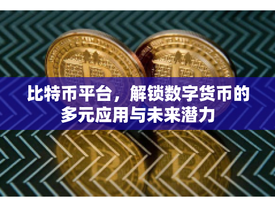 比特币平台，解锁数字货币的多元应用与未来潜力