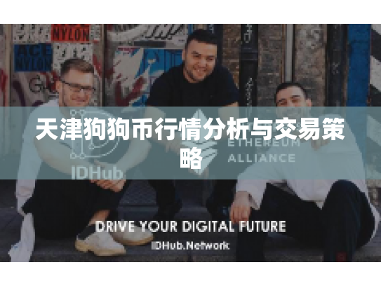 天津狗狗币行情分析与交易策略