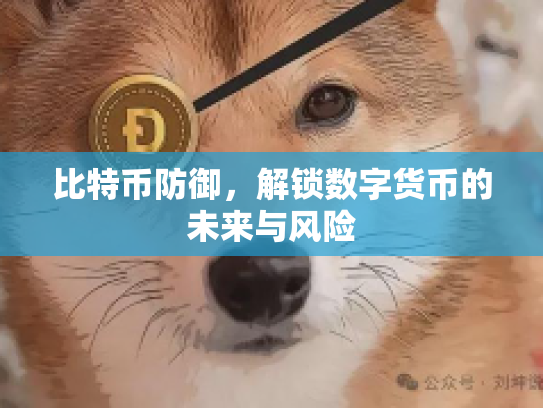 比特币防御，解锁数字货币的未来与风险