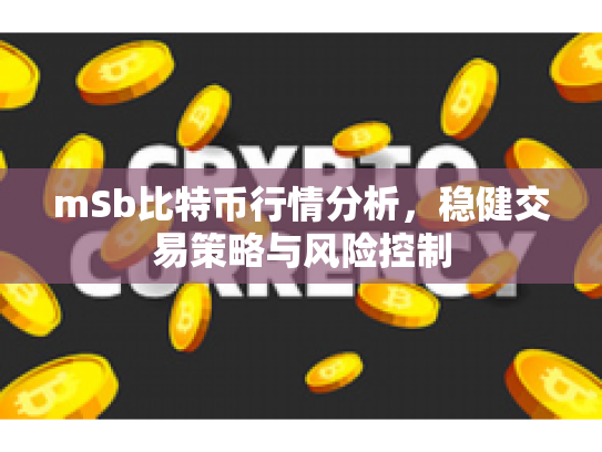 mSb比特币行情分析，稳健交易策略与风险控制