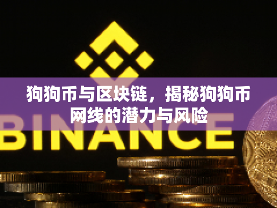 狗狗币与区块链，揭秘狗狗币网线的潜力与风险