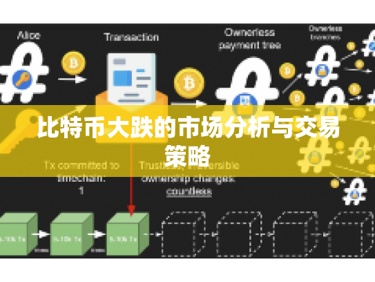 比特币大跌的市场分析与交易策略