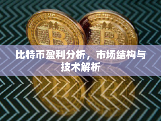 比特币盈利分析，市场结构与技术解析