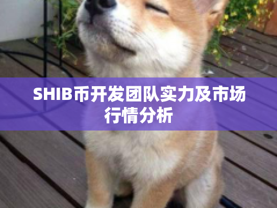 SHIB币开发团队实力及市场行情分析 SHIB币开发团队实力及市场行情分析