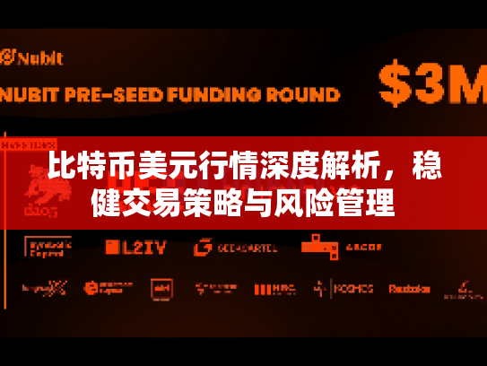 比特币美元行情深度解析,稳健交易策略与风险管理 比特币美元行情深度解析,稳健交易策略与风险管理