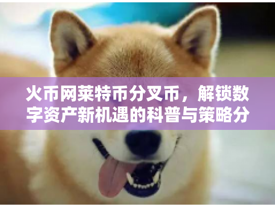火币网莱特币分叉币,解锁数字资产新机遇的科普与策略分析 火币网莱特币分叉币,解锁数字资产新机遇的科普与策略分析