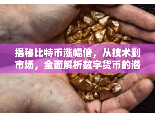 揭秘比特币涨幅倍，从技术到市场，全面解析数字货币的潜力与风险