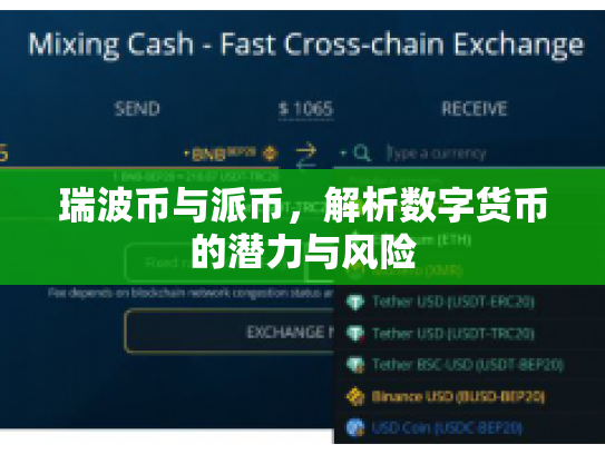 瑞波币与派币，解析数字货币的潜力与风险