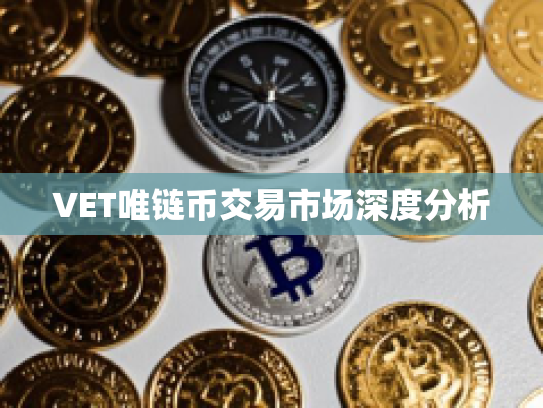 VET唯链币交易市场深度分析