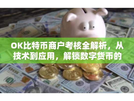OK比特币商户考核全解析，从技术到应用，解锁数字货币的未来机遇