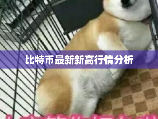 比特币最新新高行情分析