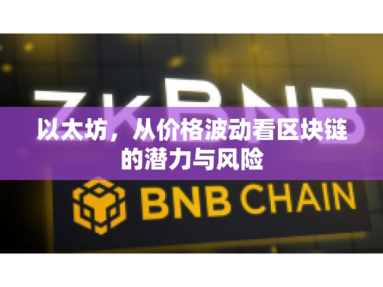 以太坊，从价格波动看区块链的潜力与风险