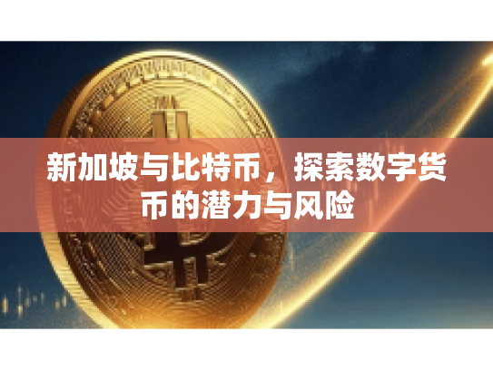 新加坡与比特币，探索数字货币的潜力与风险