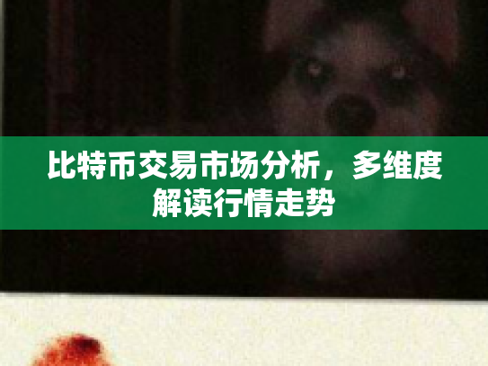 比特币交易市场分析，多维度解读行情走势