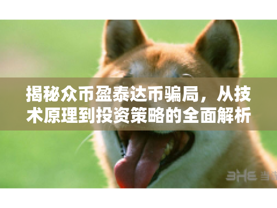 揭秘众币盈泰达币骗局，从技术原理到投资策略的全面解析