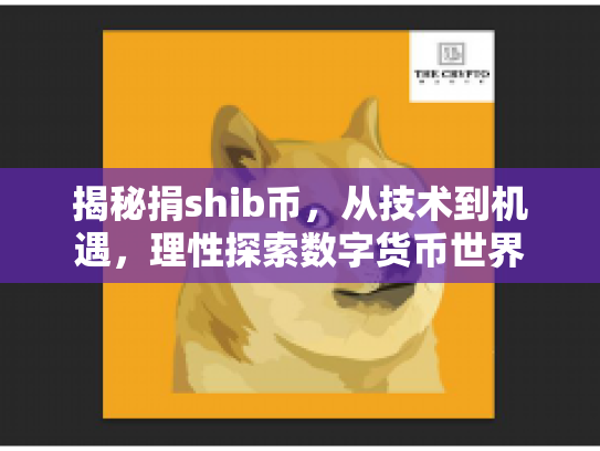 揭秘捐shib币，从技术到机遇，理性探索数字货币世界