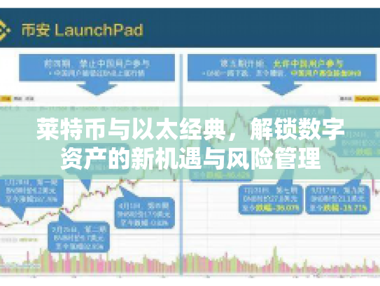 莱特币与以太经典，解锁数字资产的新机遇与风险管理