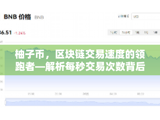 柚子币，区块链交易速度的领跑者—解析每秒交易次数背后的技术、机遇与风险