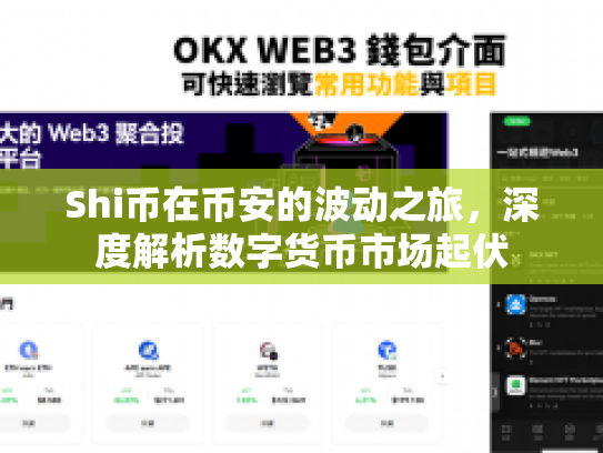 Shi币在币安的波动之旅，深度解析数字货币市场起伏