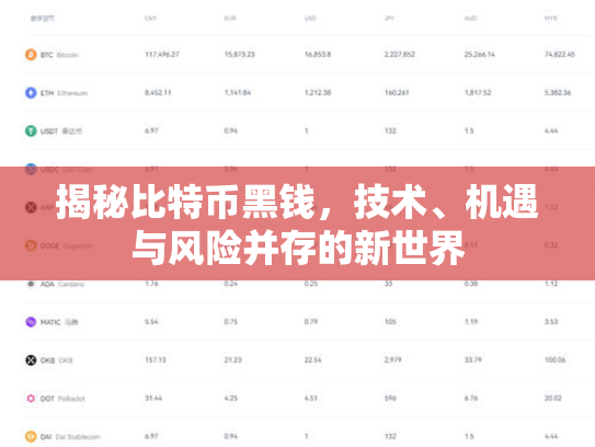 揭秘比特币黑钱，技术、机遇与风险并存的新世界