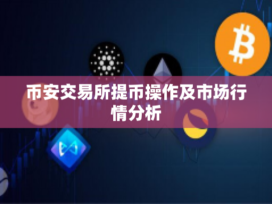 币安交易所提币操作及市场行情分析