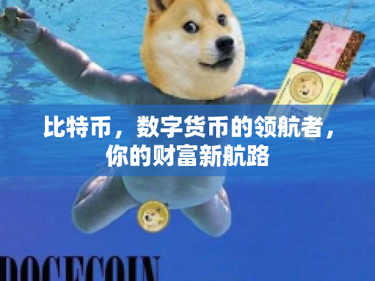比特币，数字货币的领航者，你的财富新航路