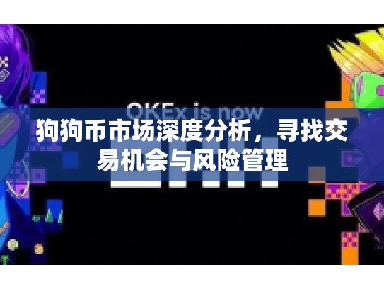 狗狗币市场深度分析，寻找交易机会与风险管理