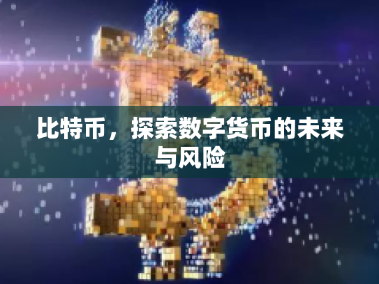 比特币，探索数字货币的未来与风险