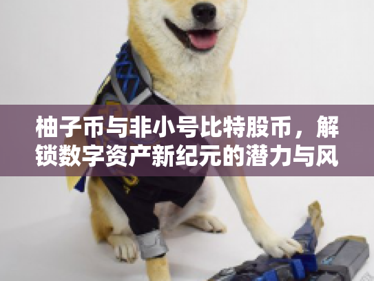 柚子币与非小号比特股币，解锁数字资产新纪元的潜力与风险