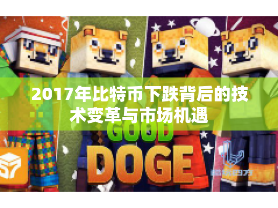 2017年比特币下跌背后的技术变革与市场机遇
