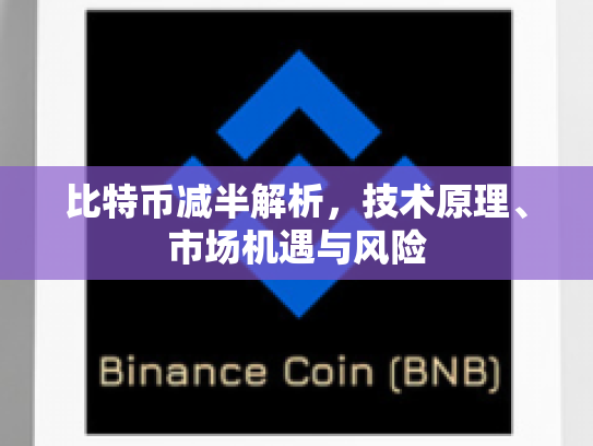 比特币减半解析，技术原理、市场机遇与风险