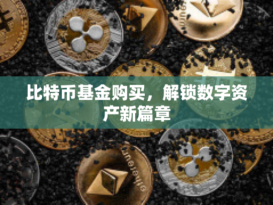 比特币基金购买,解锁数字资产新篇章 比特币基金购买,解锁数字资产新篇章
