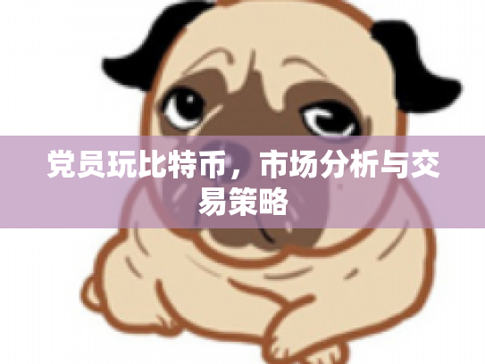 党员玩比特币，市场分析与交易策略