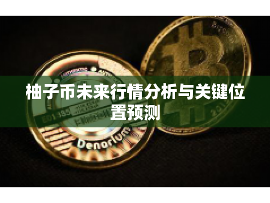 柚子币未来行情分析与关键位置预测