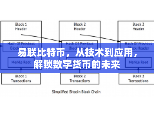 易联比特币，从技术到应用，解锁数字货币的未来