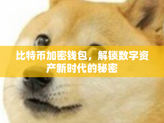 比特币加密钱包,解锁数字资产新时代的秘密 比特币加密钱包,解锁数字资产新时代的秘密