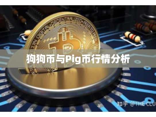 狗狗币与Pig币行情分析