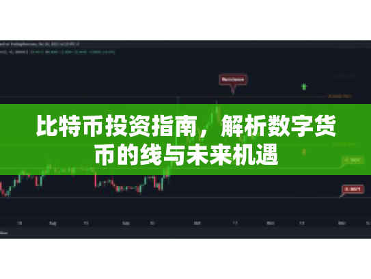 比特币投资指南，解析数字货币的线与未来机遇