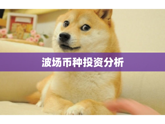 波场币种投资分析