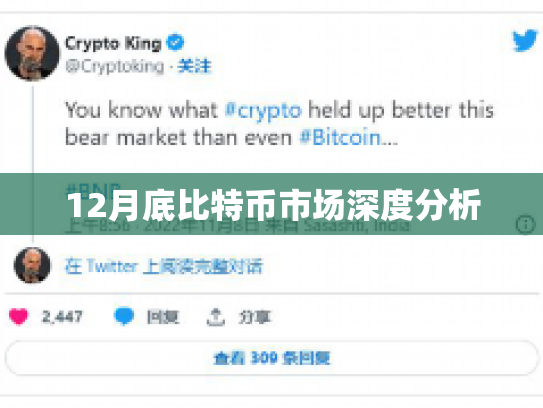 12月底比特币市场深度分析
