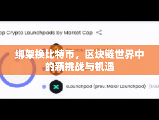 绑架换比特币，区块链世界中的新挑战与机遇