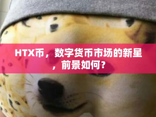 HTX币，数字货币市场的新星，前景如何？